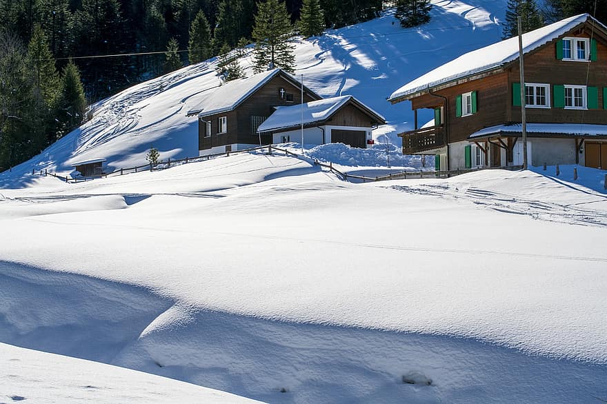스위스, 겨울, 주택들, 슈비츠의 브루니 주, 나무, 눈, 하늘, 자연, 산, 경치, 스포츠