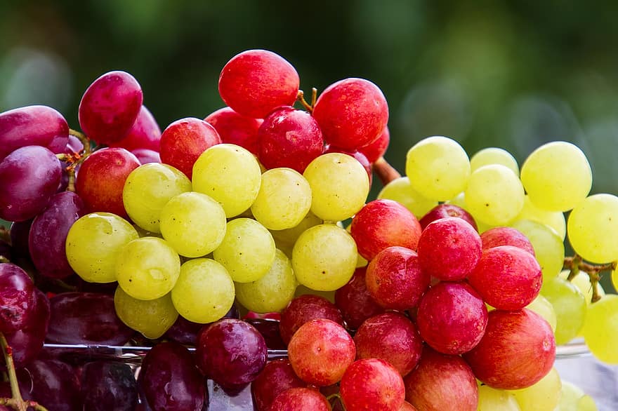 виноград, фрукти, пучок, скупчення, грона винограду, свіжі фрукти, свіжий, свіжий виноград, урожай, виробляти, органічні
