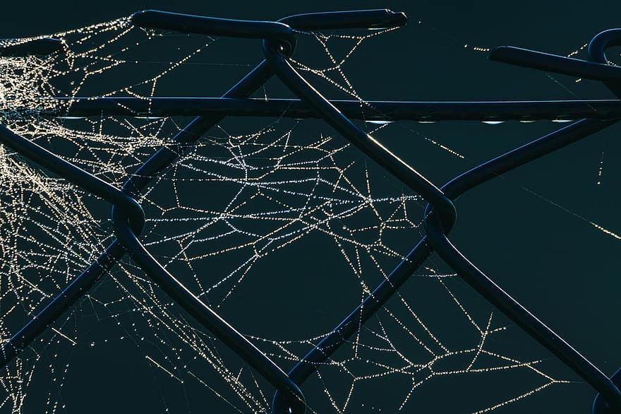 Spider Web, Cobweb, Fence, Chain Link Fence, Black Fence, Spider Silk, Wet, Droplets, Dew, Dark, Closeup