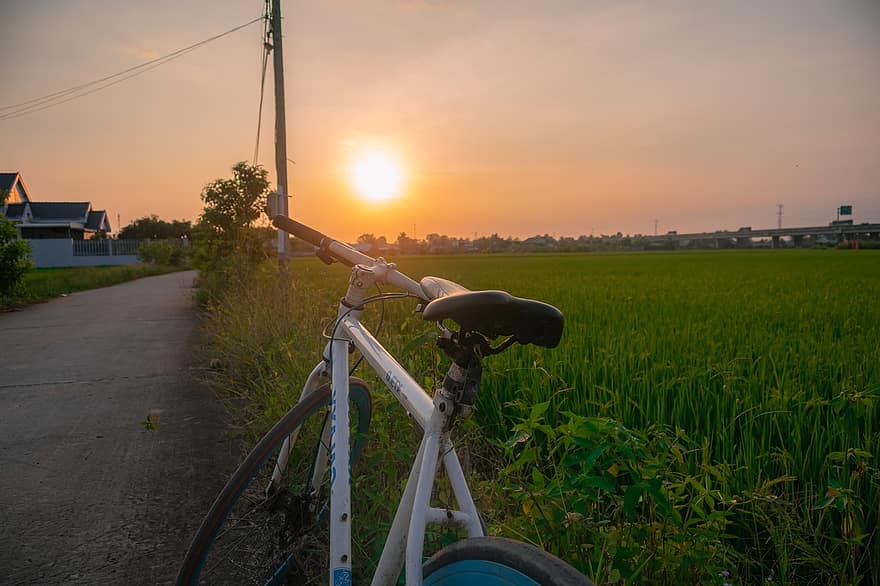 sepeda, di luar rumah, matahari terbenam, bersepeda, bidang, pedesaan, kebugaran, aktivitas, musim panas, pemandangan pedesaan, rumput