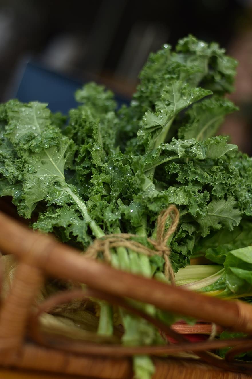sayur-mayur, kubis, salad, vitamin, sehat, makanan