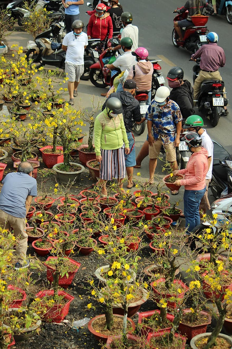 piaţă, plante, vânzări, mulţimea, oameni, Saigonul