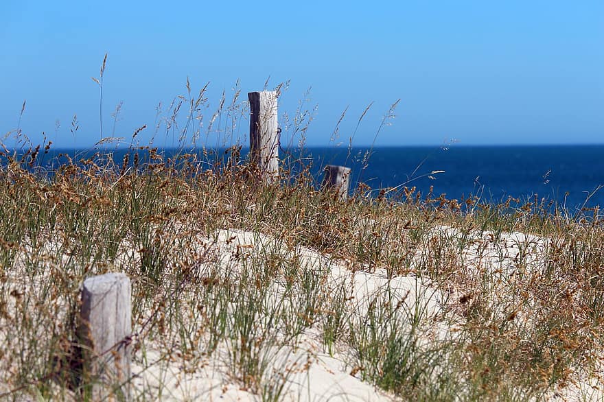 砂丘、夏、太陽、ビーチを歩く、休暇、海、空、水、砂、くつろぎ、バルト海