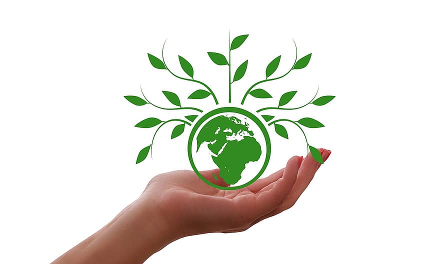 Hand, behalten, Globus, schützen, Blätter, Wachstum, Natur, Klimawandel, Klima, Naturschutz, Erde