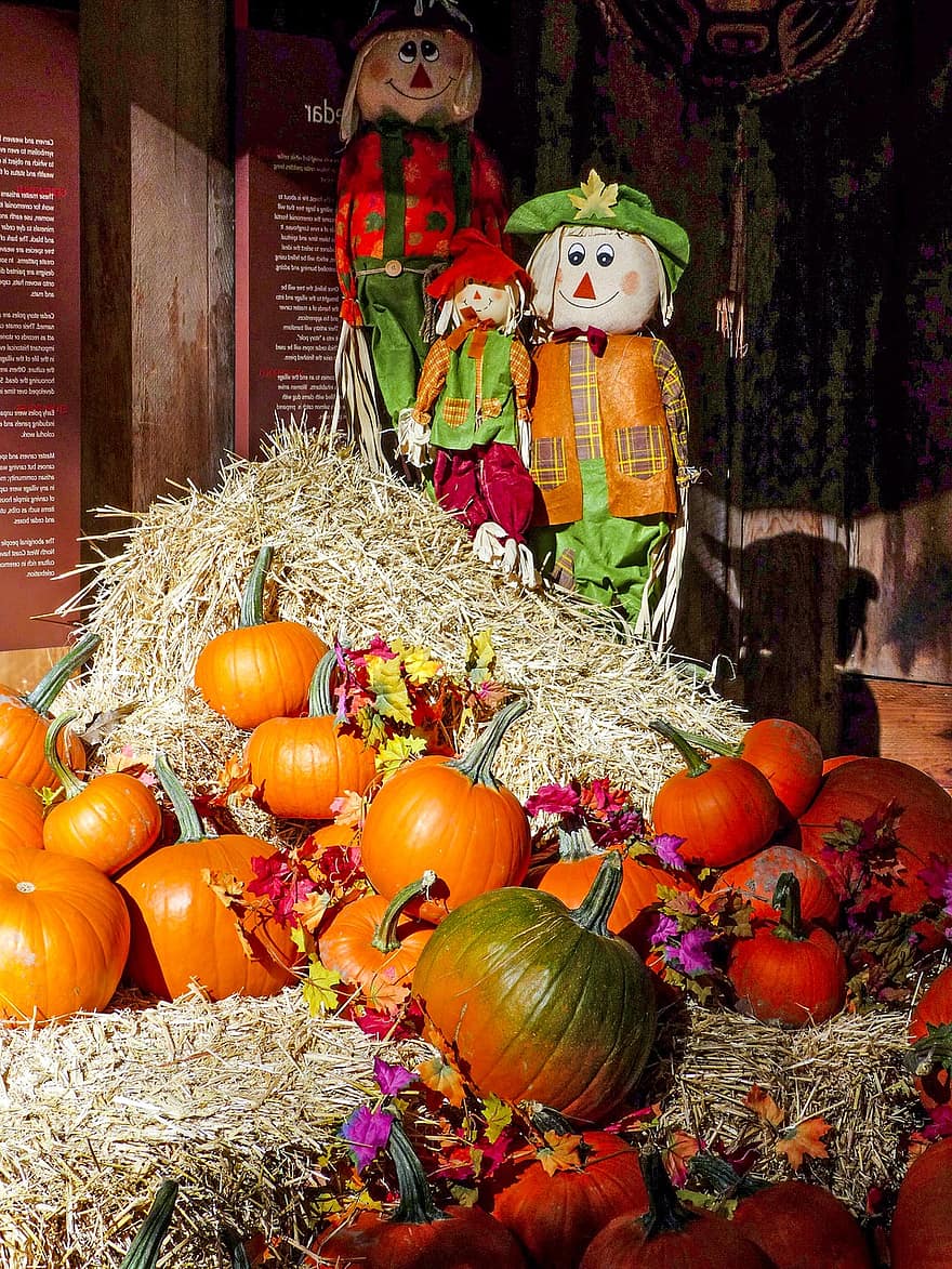 outono, colorida, humor, abóboras, decoração, Bola de palha
