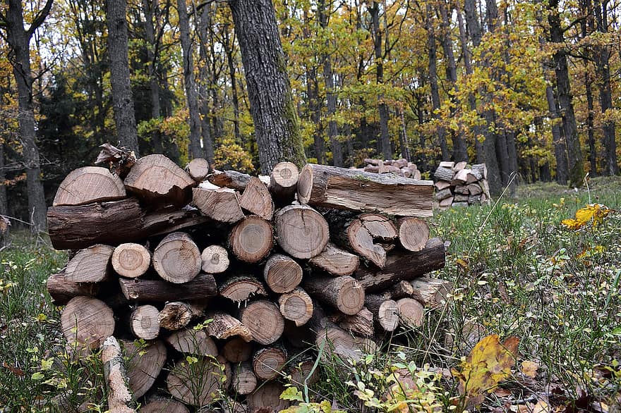 hout, logs, stam, brandhout, Stukken hout, brandstapel, houten, bosbouw, structuur, ontbossing