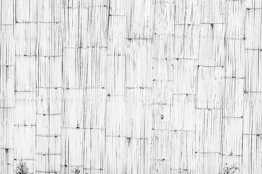 bambu, vägg, bakgrund, grå, textur, staket, torr, trä, mönster, grunge, vertikal