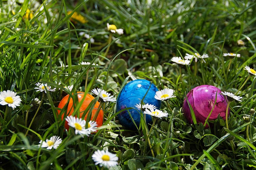 卵、イースター、色、伝統、東部の時間、草、デイジー、春、緑色、牧草地、マルチカラー