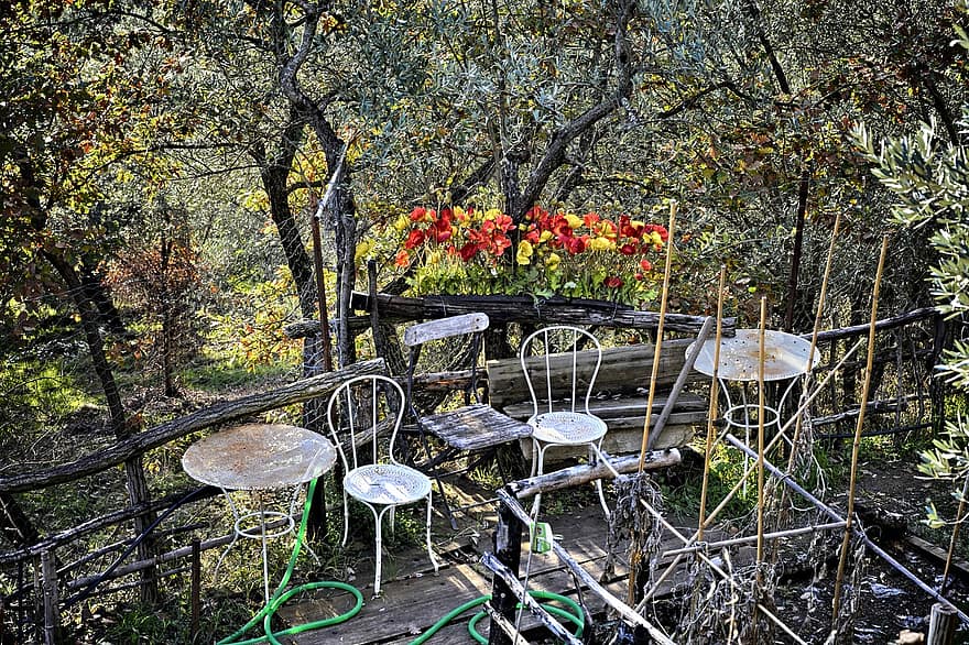 庭園、イタリア、DelleTavarnuzze経由、トスカーナ、フィレンツェ、テーブル、椅子、木、黄、技術、森林