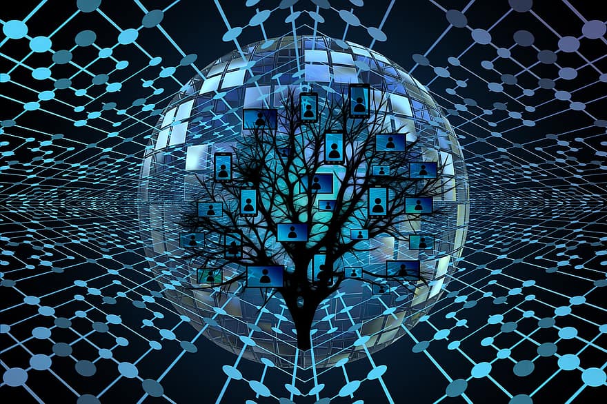 sistem, web, copac, ramură, știri, personal, cifrele, reţea, conexiune, conectat, unul cu altul