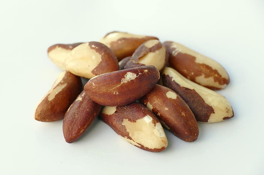 Nuts, Proteins, Snack, Brazil Nuts, Kernels, Bertholletia Excelsa, Minerals, Food, Super Foods