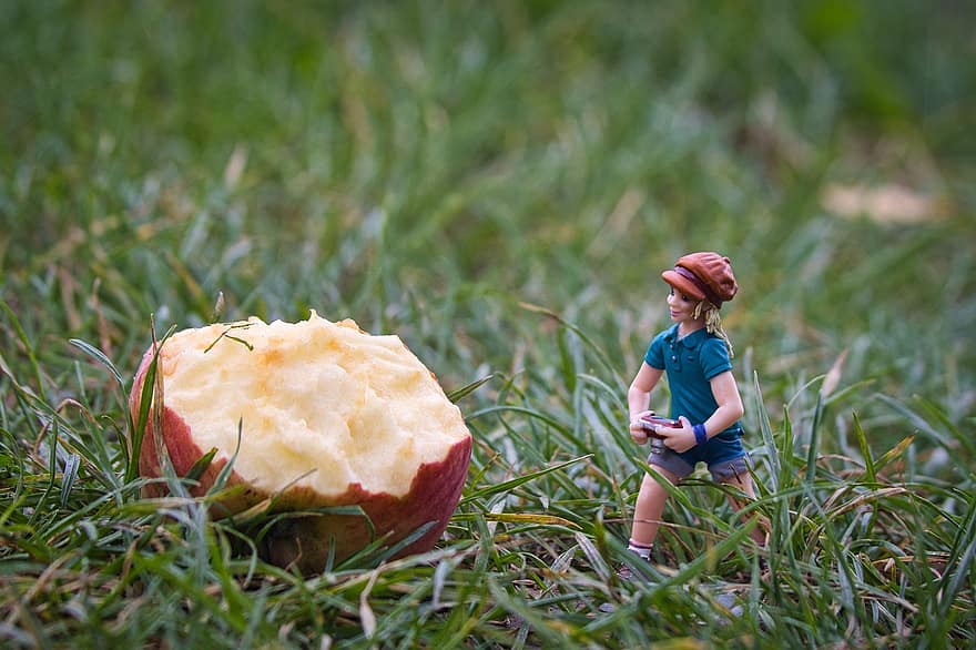 miniatuur figuur, fotograaf, appel, Minifotograaf, speelgoed-, rode appel, gebeten appel, fruit, voedsel, weide