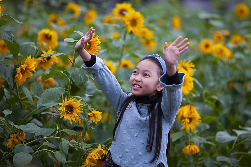 anak, gadis, bunga matahari, bunga-bunga, tanaman, bidang, imut, muda, masa kecil, di luar rumah, pakaian
