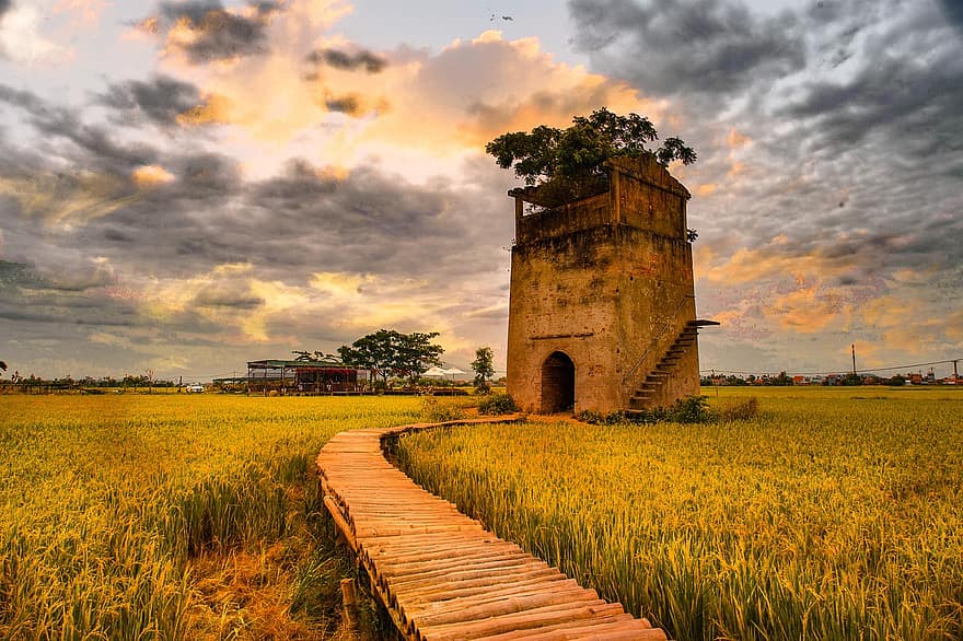 Sunset, Field, Vietnam, Farmland, Farm, Agriculture, Landscape, Sundown, Twilight, architecture, old