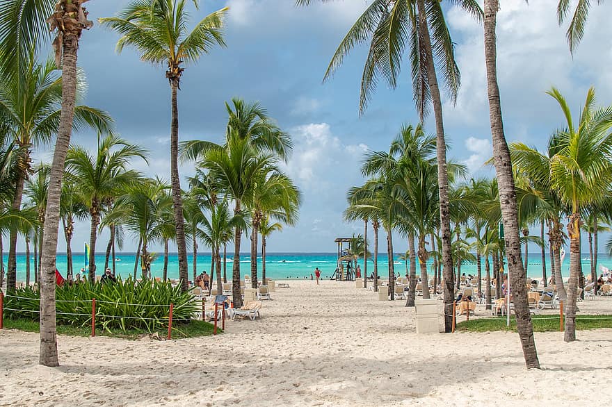 Beach, Palm Trees, Caribbean, Tropical, Trees, Sand, Coast, Shore, Sea, Turquoise Water, summer