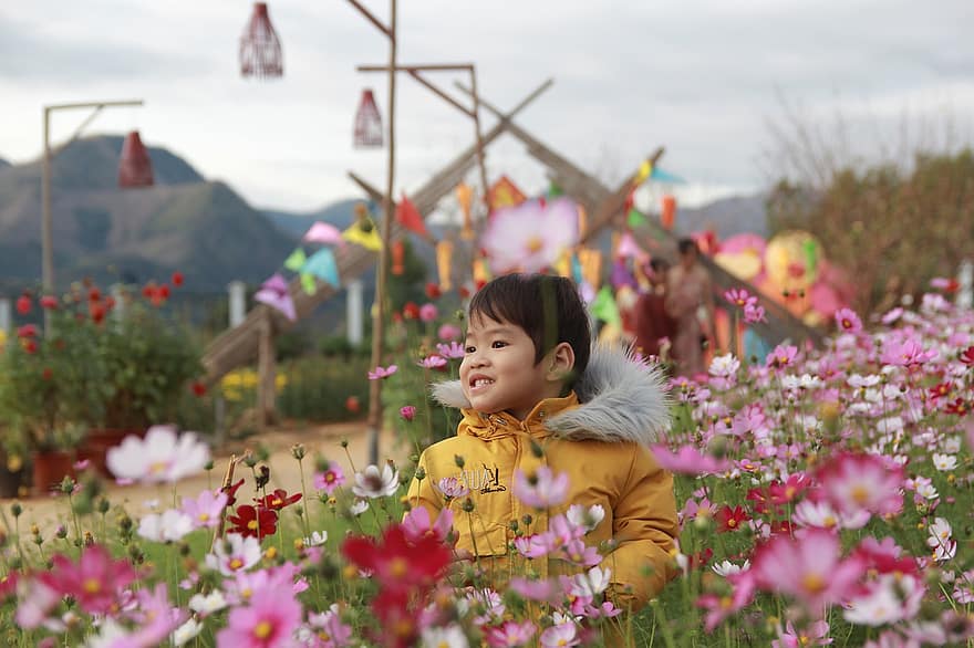 vaikas, berniukas, gėlės, augalai, sodas, mielas, žydi, lapai, jauni, vaikystėje, šypsosi