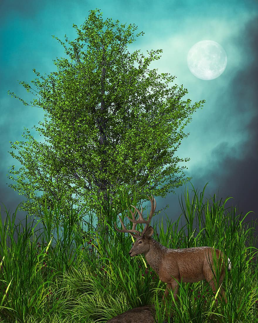 鹿、夢、神秘的な、おとぎ話、動物、草、森林、木、野生の動物、牧草地、夜