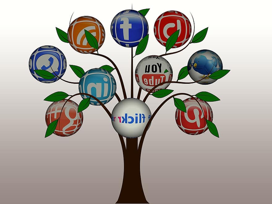Tree, Structure, Networks, Internet, Network, Social, Social Network, Logo, Facebook, Google, Social Networking