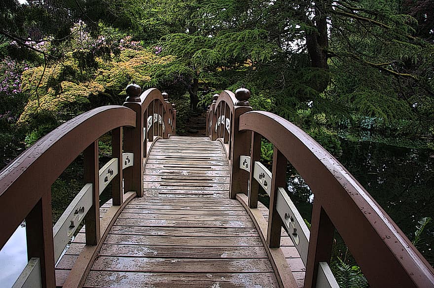 japonský, most, park, zen, krajina, zahrada