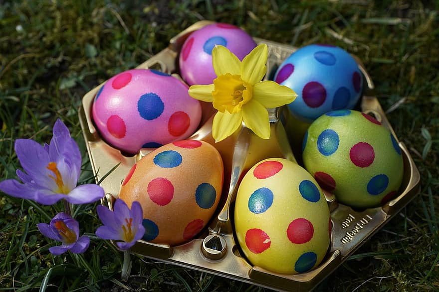 Paskah, telur, warna, sarang, bintik-bintik, liburan, musim, tradisi, rumput, musim semi, multi-warna