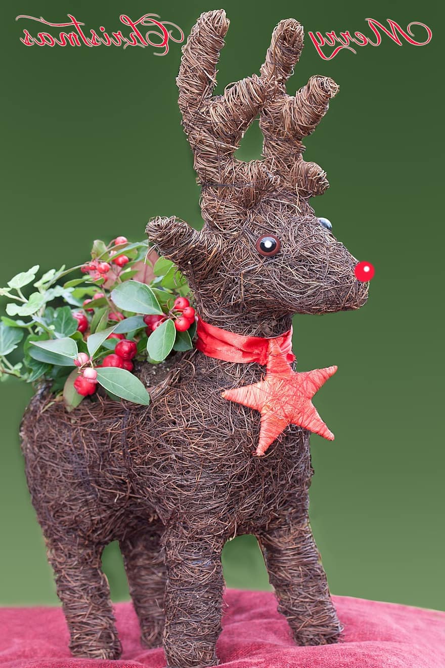ren, renna, biglietto d'auguri, Rudolph, auguri di Natale, ribes rosso, lavoro manuale, decorazioni natalizie, decorazione, stella, collana
