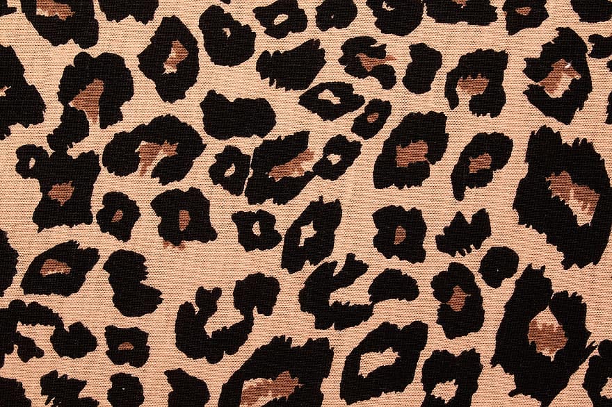 leopardas, apranga, tekstūra, menas, modelį, dizainas, tapetai, spausdinti, santrauka, audinys