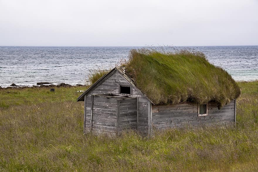 capannone, tetto di torba, isola, mare, oceano, costruzione, architettura, Norvegia