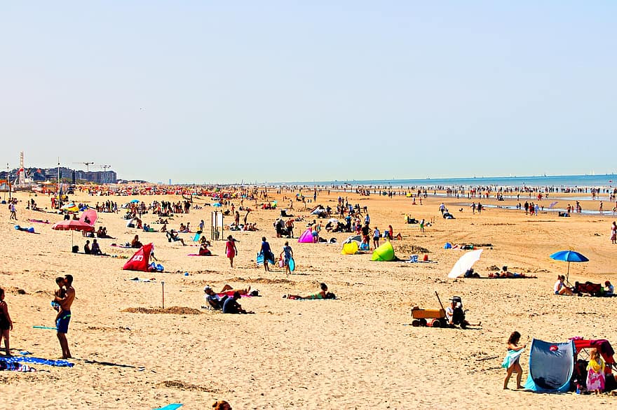 strand, cél, vakáció, Belgium tengerpart, nyári időszámítás, nyári, évszak, üdülő, paradicsom