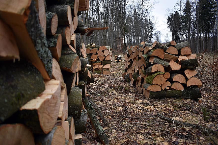 薪、ウッドパイル、木材、森林、自然、ブナ、スタック、ログ、木材産業、木、ヒープ