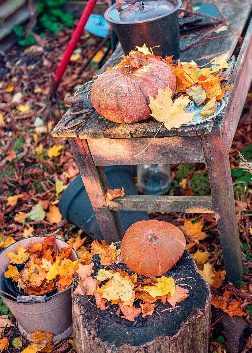 カボチャ、ひょうたん、秋、かぼちゃ、葉、ハロウィン、10月、シーズン、木材、黄、マルチカラー