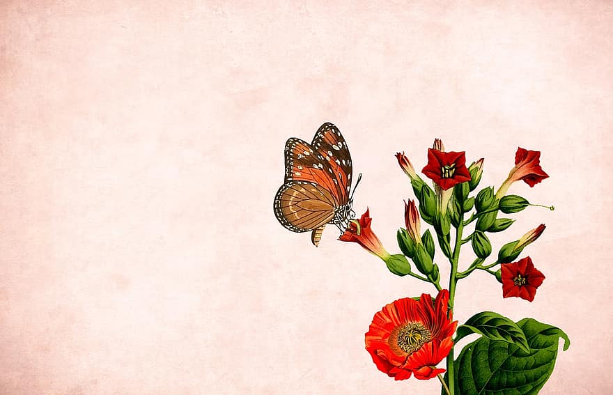 gėlė, gėlių, fonas, drugelis, sodo rėmas, derliaus, kortelę, menas, Vestuvės, dizainas, rankų darbo