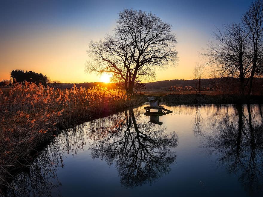 Sunset, Pond, Reflection, Tree, Grass, Dusk, Sunlight, Foliage, Water, Lake, landscape
