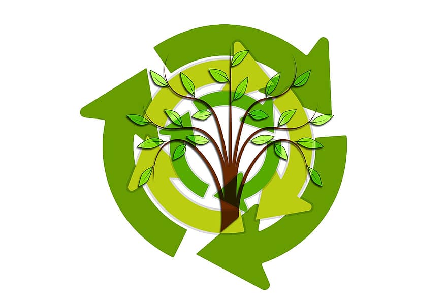 arbre, fulles, fletxes, sostenibilitat, energia, districte, circuit, renovable, ecologia, medi ambient