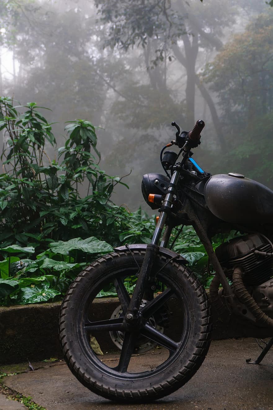 motosiklet, orman, sisli