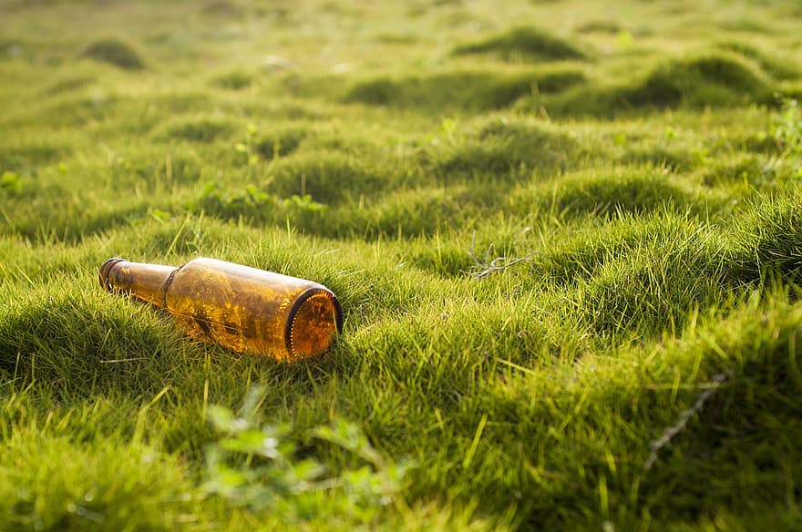 flaska, gräs, gräsmatta, natur, sopor, förorening, miljöskydd, grön färg, närbild, dryck, sommar