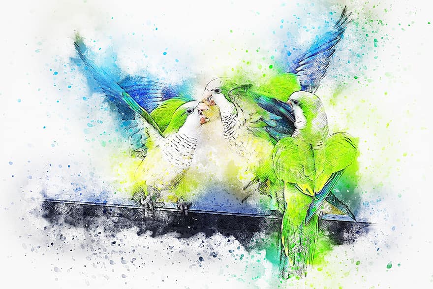 Birds, Parrot, Playing, Feathers, Watercolor, Animal, Colorful, Vintage, Nature, Artistic, Aquarelle