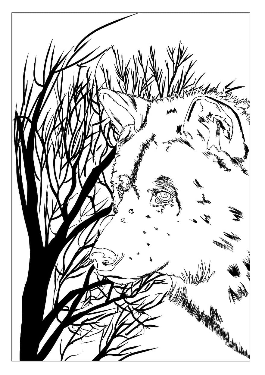 Lobo, desenhado à mão, desenhar, árvore, floresta, cão, rouco, animal, branco, vintage, selvagem