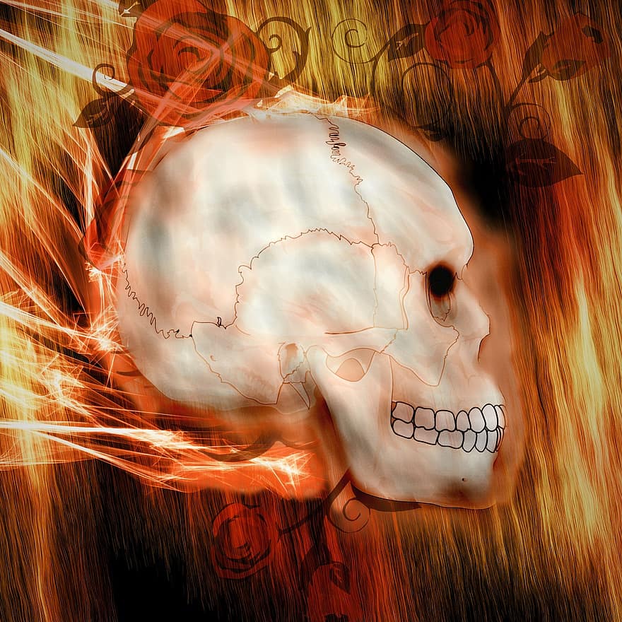 두개골과 이미지, 두개골, 지옥, 극적인, 소름 끼치는, 삽화, 할로윈, 뼈, 죽음, 기묘한