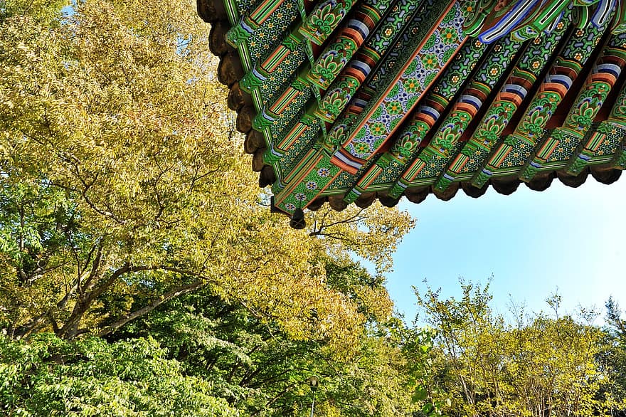 tapınak, kiremit, geleneksel ev, hanok, sonbahar yaprakları, Kore