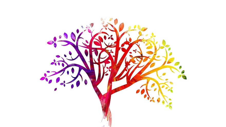 drzewo, kolorowy