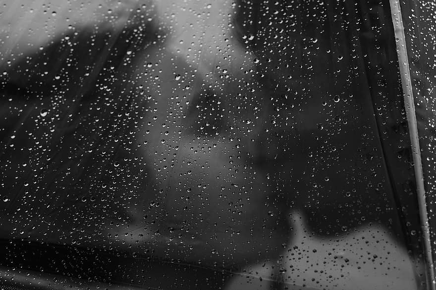 カップル、キッス、雨、恋人、傘、窓、ドロップ、雨滴、天気、ガラス、濡れている