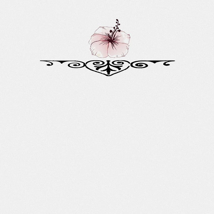 imagen, fondo, Rosa, blanco, planta, Art º, diseño, flor