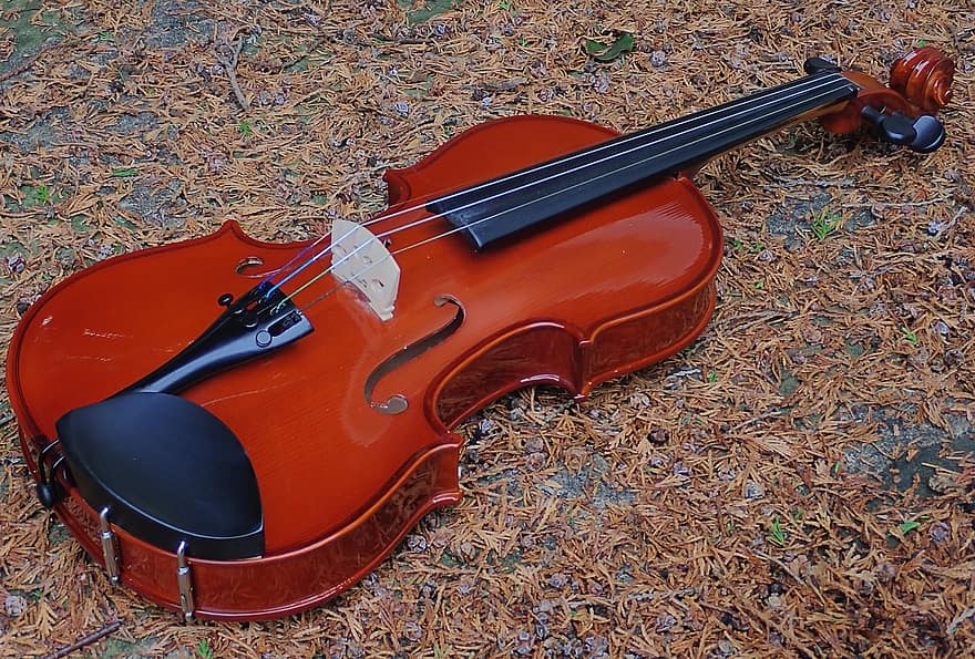 instrumentas, smuikas, muzikinis instrumentas, muzika