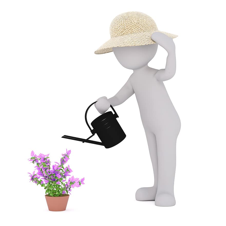 Garden, Gardening, Garden Work, Horticulture, Scrub, Gardeners, Front Yard, Gardener, Bloom, Flower, Surface Contact Area