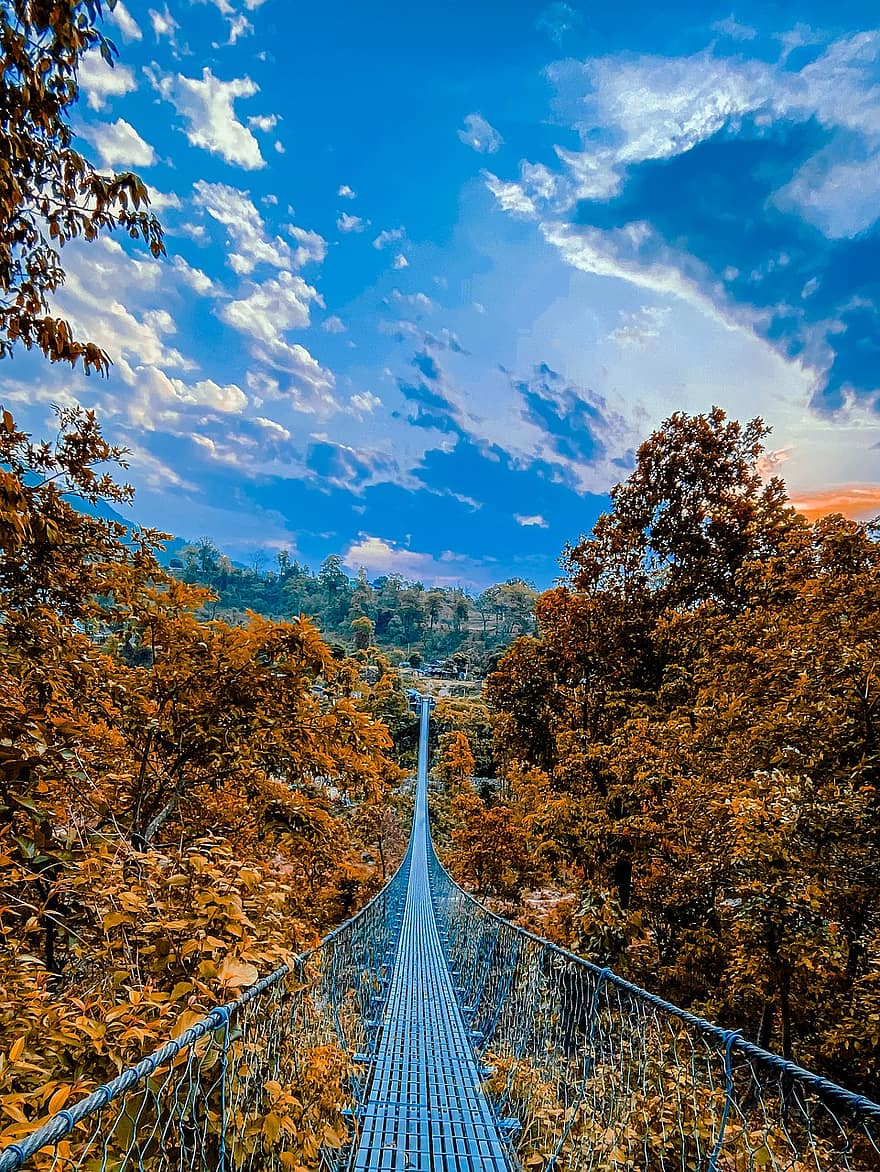 ponte, foresta, autunno, natura, paesaggio