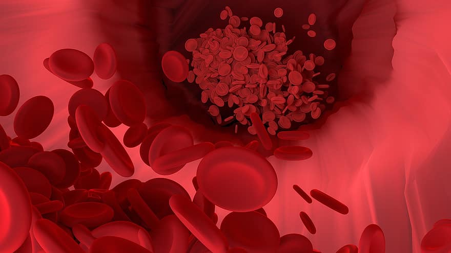 sel darah merah, pembuluh darah, tabung, mikro, ilmu, percobaan, penelitian, ilmuwan, 3d, mengalir, biologi
