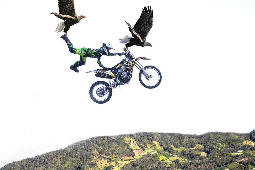 motociklas, erelis, kirsti, šokinėti, gyvūnams, neįprasta, kalnas