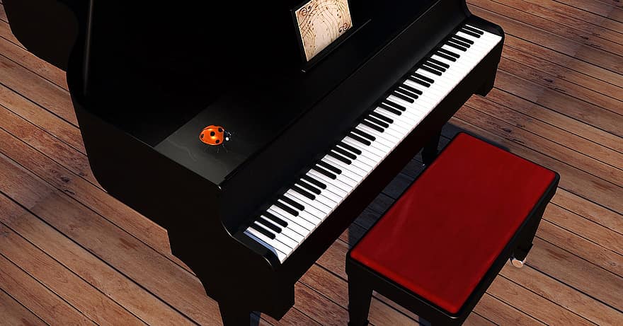 klavír, křídlo, hudba, nástroj, klávesy piana, klávesnice, klavírní klávesnice, klavírní stolička, brouk