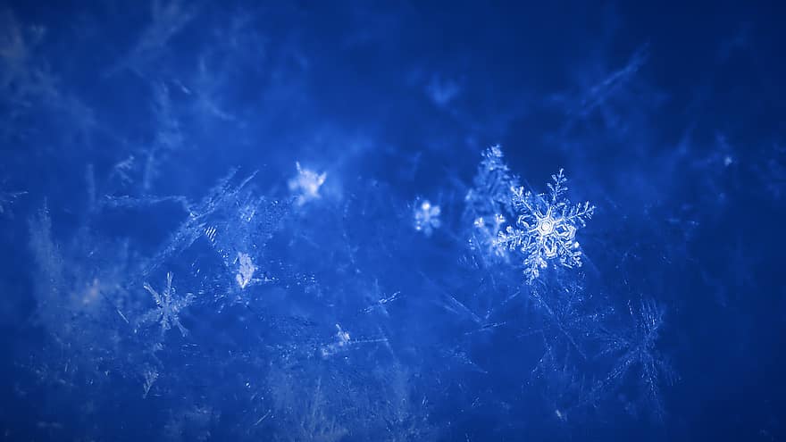 kepingan salju, salju, musim dingin, Es, kristal es, dingin, alam, tekstur, makro, merapatkan, wallpaper