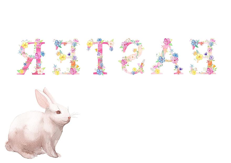 Easter, Spring, Bunny, Rabbit, Holiday, Colorful, Celebrate, Season, Seasonal, White Background, Template